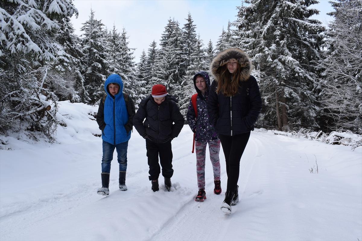 Hrabri đaci iz sela Bare na Pešterskoj visoravni: Do škole pješke kroz šumu FOTO